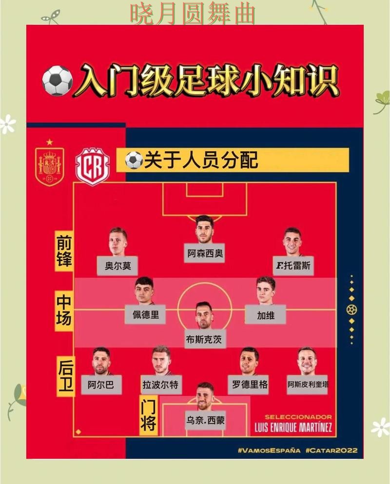 世界杯买球新手入门规则解析全攻略